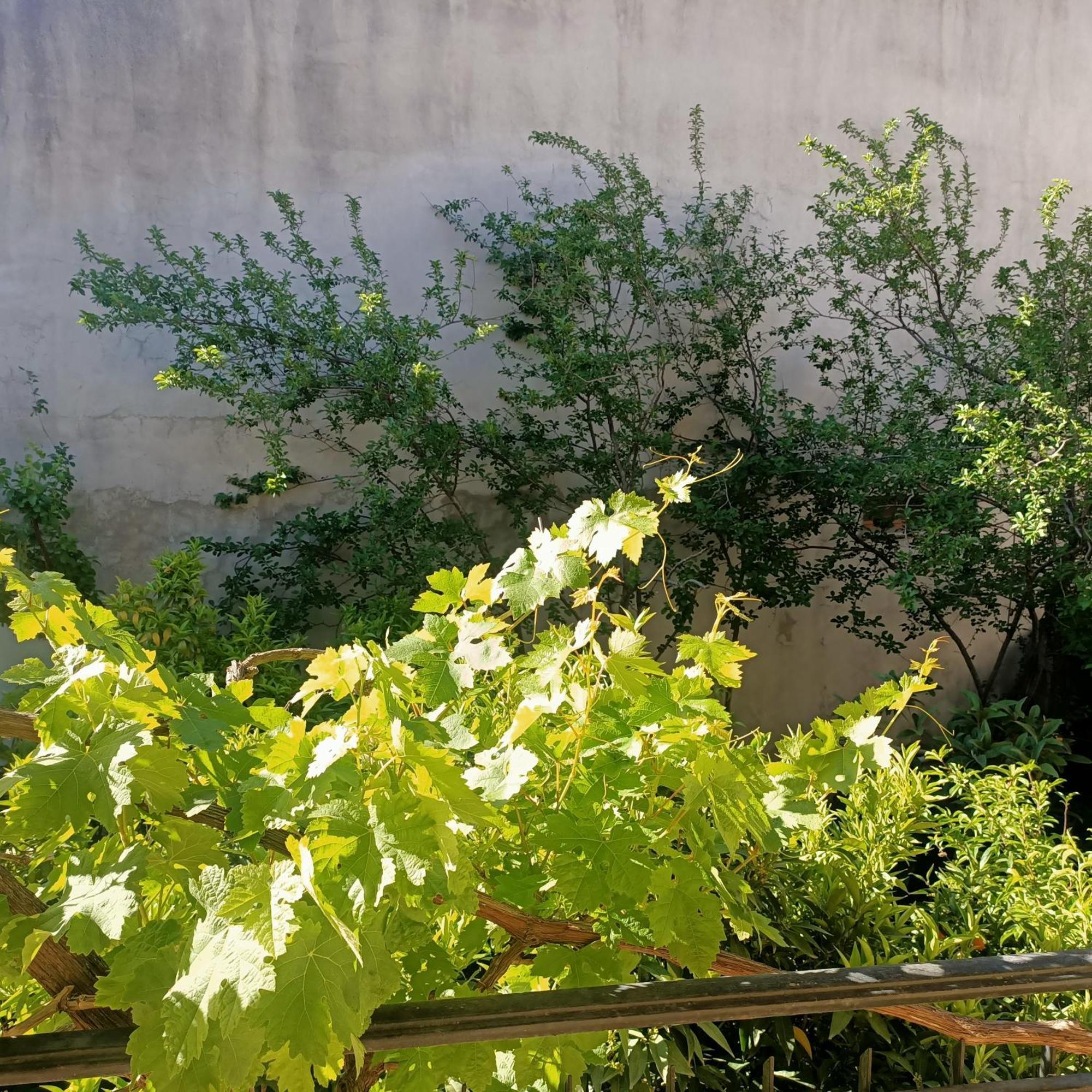 Janas House Bari Sardo Exterior foto